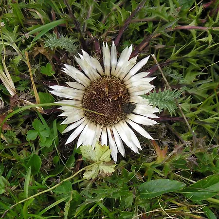 Bauernhof Grussberggut *