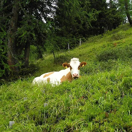 Bauernhof Grussberggut *