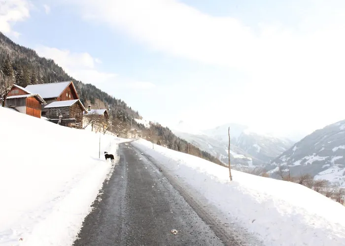 Bauernhof Grussberggut Gratis Therme & Sommerbergbahn Bad Hofgastein
