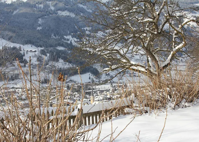 Bauernhof Grussberggut Gratis Therme & Sommerbergbahn Çiftlik konaklama